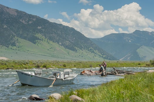 Madison River Float Trip In Madison River