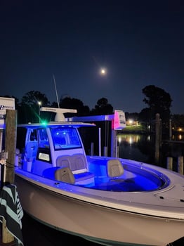 Boat photo for Federally Permitted 31’ Sportsman