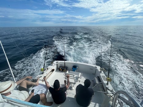 Boat photo for Marlin Fishing in Ecuador