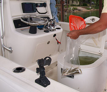 Boat photo for Lake Buchanan Striper Fishing Trip