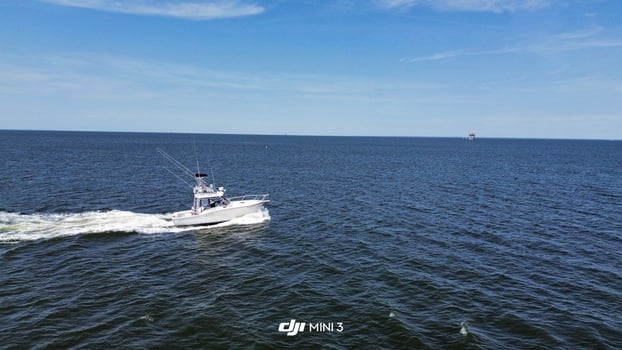 Boat photo for Half Day Trolling - 30' Albemarle
