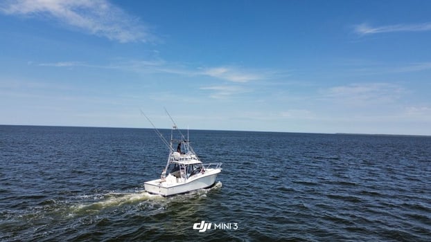 Boat photo for Half Day Trolling - 30' Albemarle