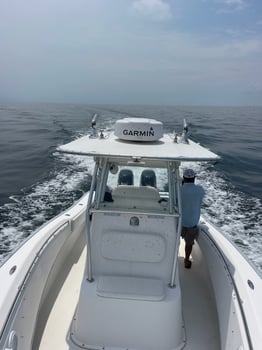 Boat photo for Alabama Offshore Thrills!
