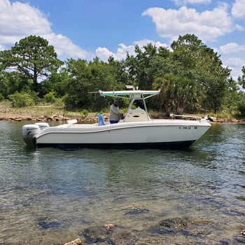 Boat photo for Destin Red Snapper Slam - AM