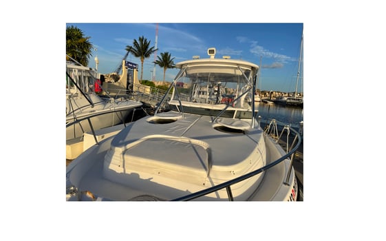 Boat photo for Trolling + Snorkel or Sunset Cruise
