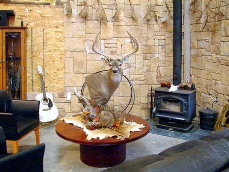 Lodge photo for Hog Hunt Fun - w/ Lodging