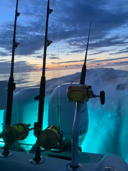 Boat photo for 4 hr SNAPPER TRIP !   GREAT ACTION