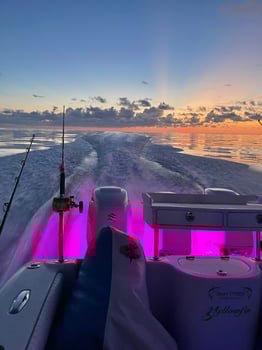 Boat photo for 4 hr SNAPPER TRIP !   GREAT ACTION
