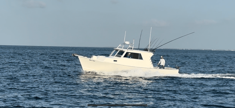 Boat photo for Deep Sea, Wreck and Reef