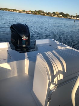Boat photo for Tampa Bay Inshore Fun