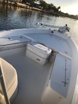 Boat photo for Tampa Bay Inshore Fun