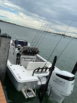 Boat photo for Anna Maria Inshore and Nearshore