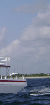 Boat photo for Daily Reef Fishing (Shared Trip)