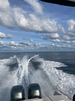 Boat photo for Florida Bottom Fishing or Trolling