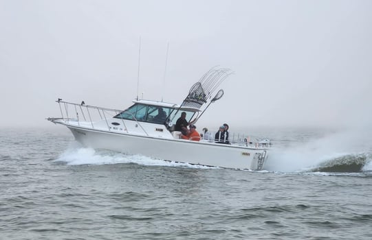 Boat photo for Am walleye charter