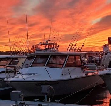 Boat photo for Am walleye charter