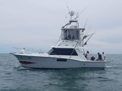 Boat photo for Orange Beach 4-Hour Trolling Excursion