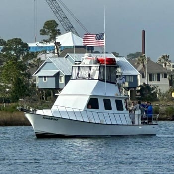 Boat photo for 3 Hour Cruise