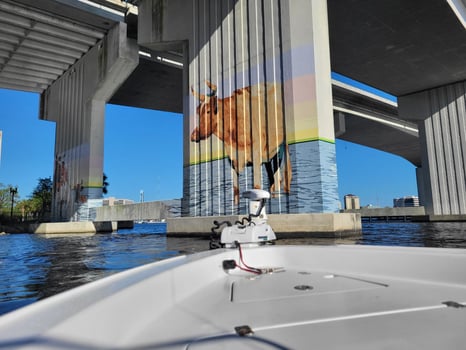 Boat photo for Jacksonville Adventure Half to Full Day!