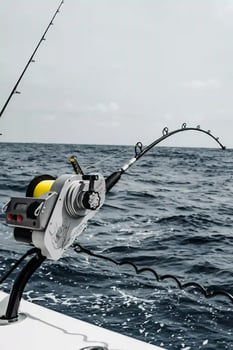 Boat photo for Reel Rush Lauderdale Fishing