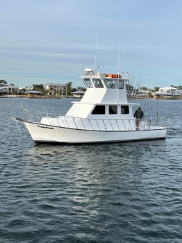 Boat photo for OBA fishing on 40' Sportsfisher