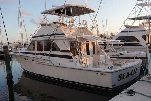 Boat photo for Half Day Key West Deep Sea Fishing
