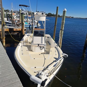 Boat photo for Exploring the Gulf