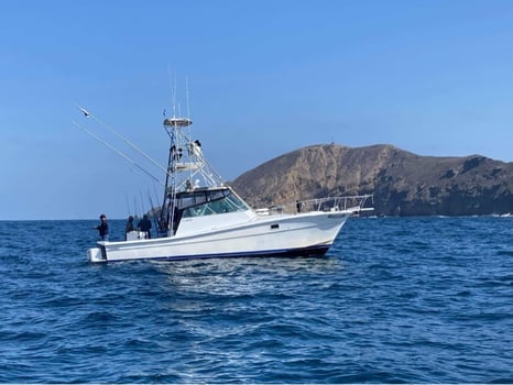 Boat photo for Half Day San Diego