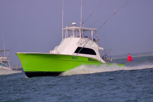 Boat photo for Quick Trips Lots of Action!