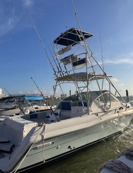 Boat photo for Deep Sea Cancun