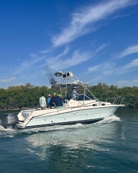 Boat photo for Deep Sea Cancun