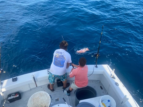 Boat photo for Destin Red Snapper Mania - 10-12 Hrs