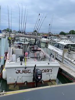 Boat photo for Summer walleye troll