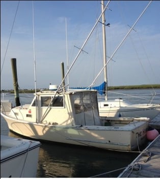 Boat photo for Half Day Spanish Mackerel