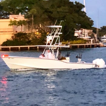 Boat photo for Sea Monster Catch Adventure