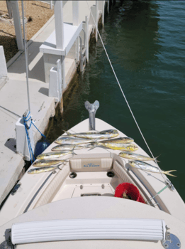 Boat photo for Bottom Fishing Reefs and Wrecks