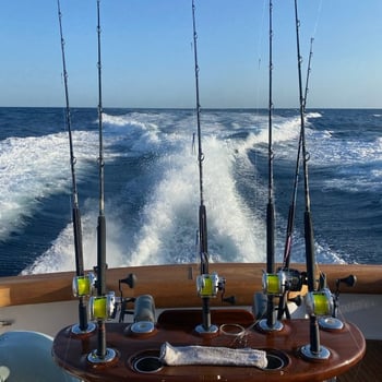 Boat photo for Luxury Offshore Sportfishing