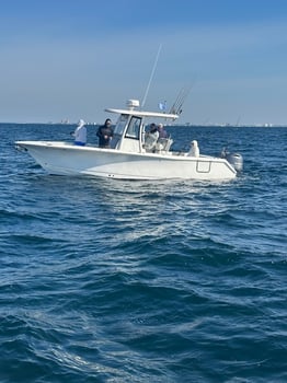 Boat photo for 6 Hr Bottom Fishing / Trolling -27'