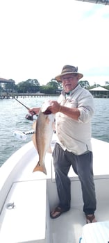 Boat photo for Inshore Orange Beach Action- 22'