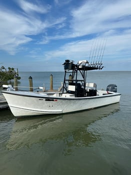Boat photo for Inshore swfl