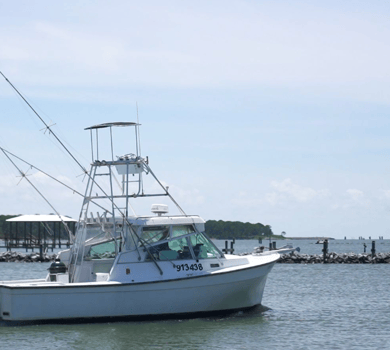 Boat photo for Offshore Jigging / Trolling
