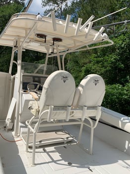 Boat photo for Shark Attack
