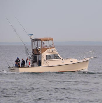 Boat photo for Half Day Trip: Inshore