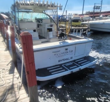 Boat photo for Big Lake Fishing Trips