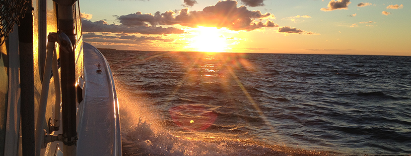 Boat photo for Summer Flounder AKA Fluke Trip