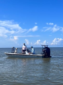 Boat photo for 4-8 Hours Trip