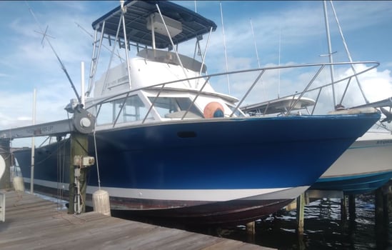Boat photo for 5-8 Hour Sebastian Fishing