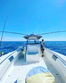Boat photo for Deep Sea Full Day & Extended Trips