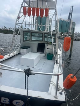Boat photo for Shark Trip 6 hour