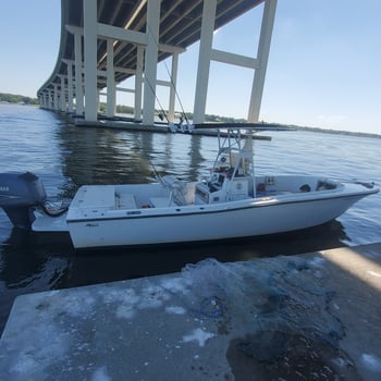 Boat photo for Biloxi back bay Barrier islands